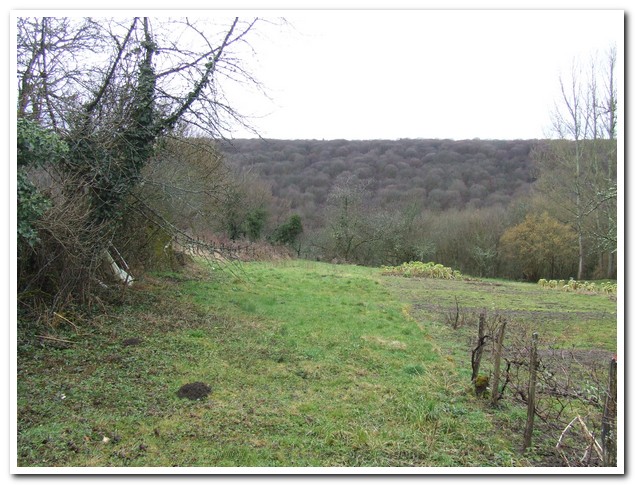 Karakteristiek woonhuis met tuin en schitterend uitzicht, Haute-Marne, Frankrijk