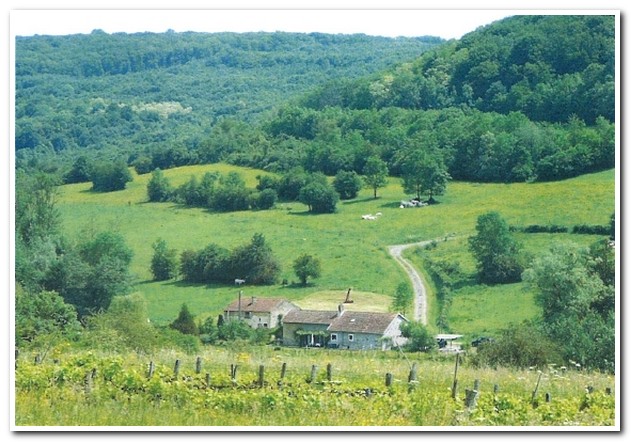 Vrijstaand woonhuis aan beekje met prachtig uitzicht, Haute-Marne, Frankrijk