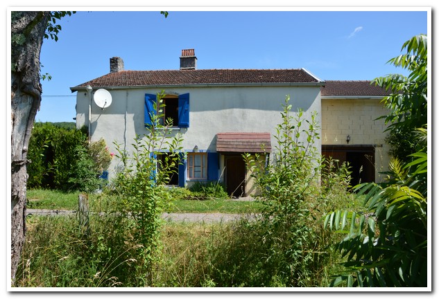 Vrijstaand dorpshuis op mooie rustige lokatie, Haute-Marne, Frankrijk