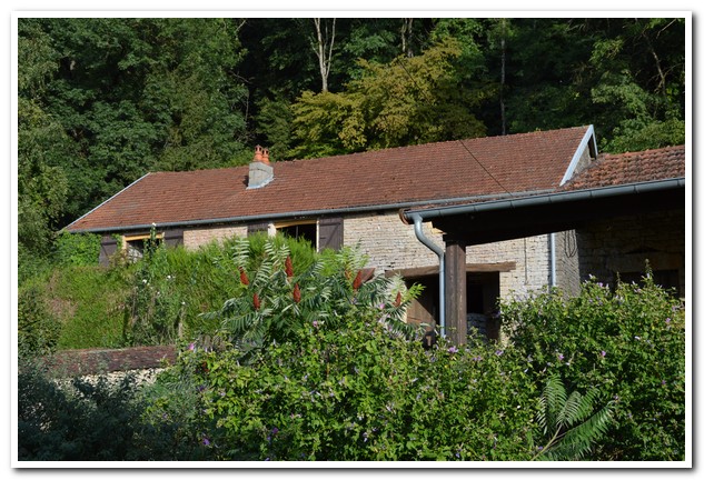 Dorpswoning, rustig gelegen aan bosrand in mooi dorpje, Haute-Saone, Frankrijk