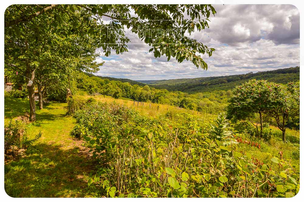 Charmante woonhuis in het bos met 2 tipi's en schitterend uitzicht, Haute-Marne, Frankrijk