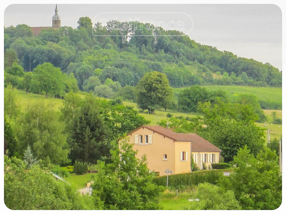 Prachtige vrijstaande villa met terrein en schitterend uitzicht, Haute-Marne, Frankrijk
