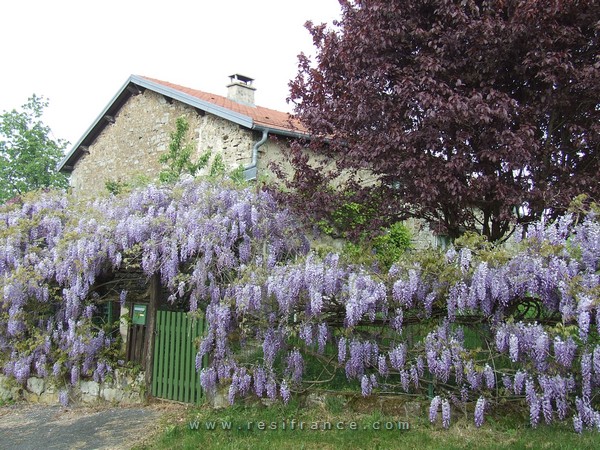 Charmante dorpswoning met tuin, Haute-Marne, Frankrijk